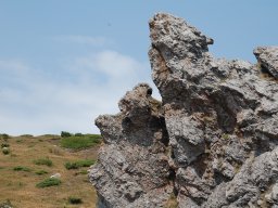 DSC_7895