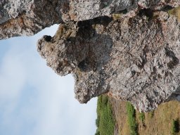 DSC_7898