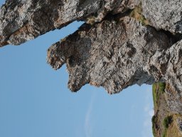 DSC_7900