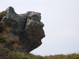 DSC_7931