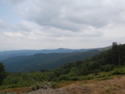 DSC_7935