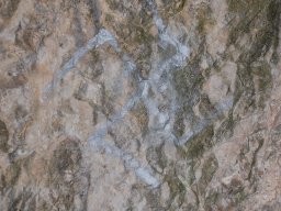 DSC_8063