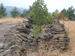 DSC_8151