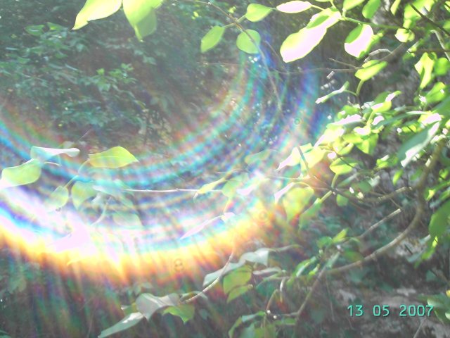 PICT2175