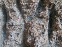 ialata
