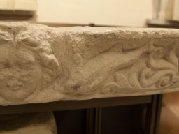 IMG_7454