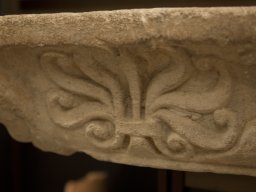 IMG_7455
