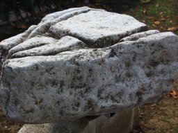 IMG_9108re