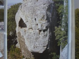 P7100133