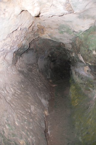 DSC_4187-1