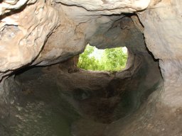 DSC_4186-1