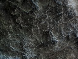 DSC_3960-1~0