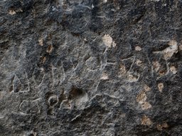 DSC_4044