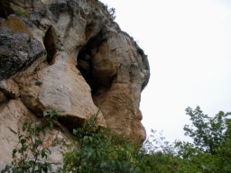 DSC_4118-1