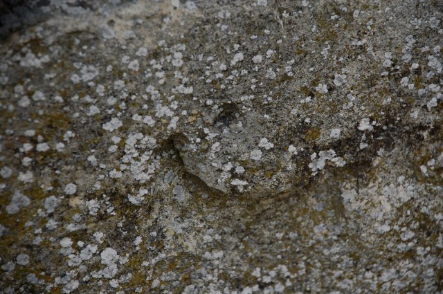 DSC_0476-1