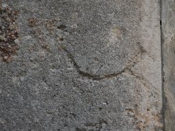 DSC_0466-1