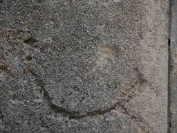 DSC_0472-1