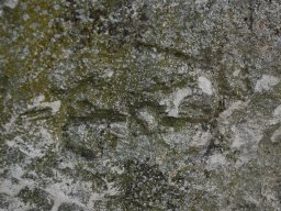 DSC_0474-1