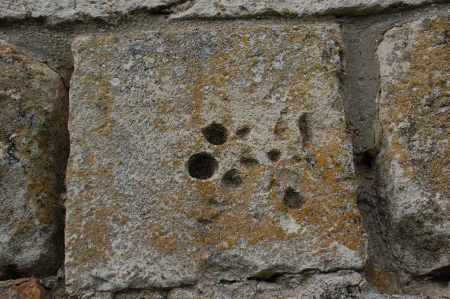 DSC_0152-1