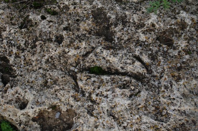 DSC_0184-1
