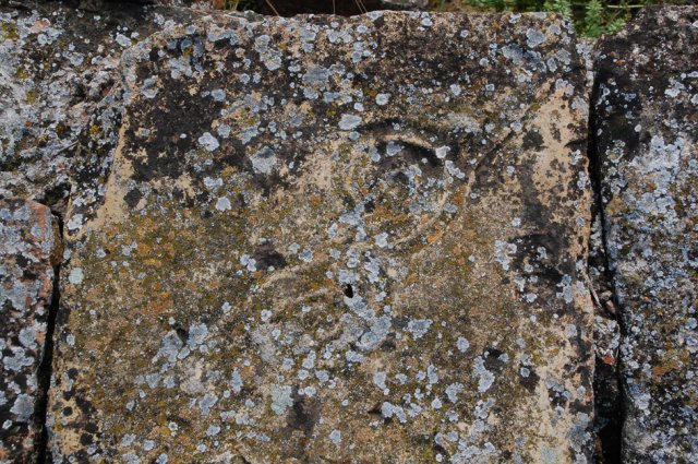 DSC_0241-1~0