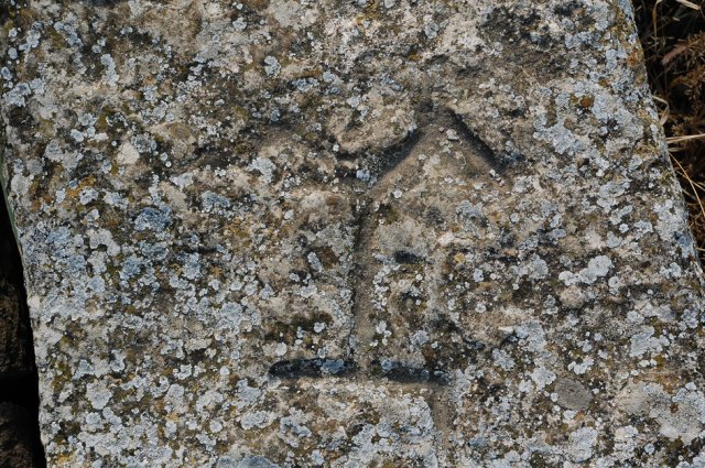 DSC_0251-1