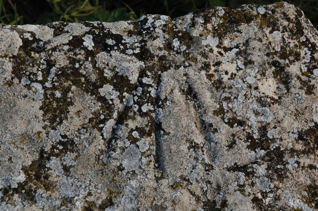 DSC_0256-1