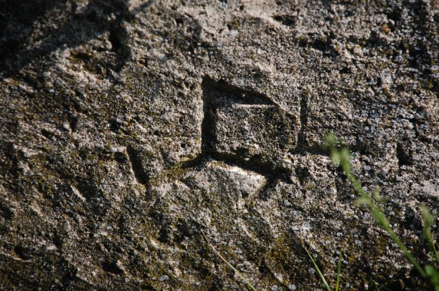 DSC_0361-1