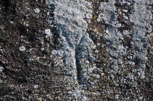 DSC_0376-1~0