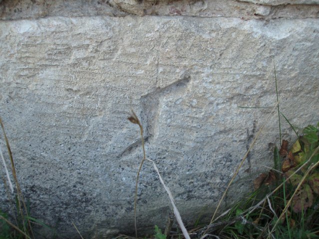 PB080075-1