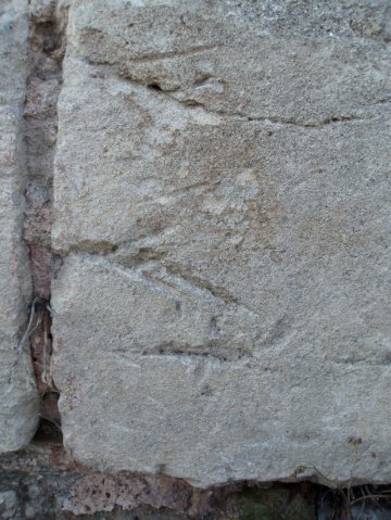 PB080078-1