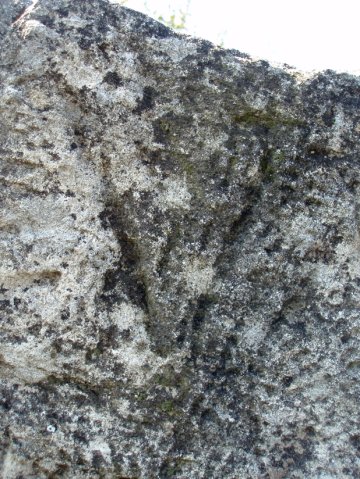 PB080080-1