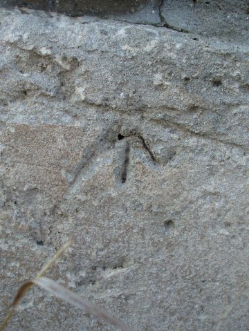 PB080081-1