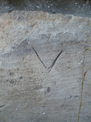 PB080082-1