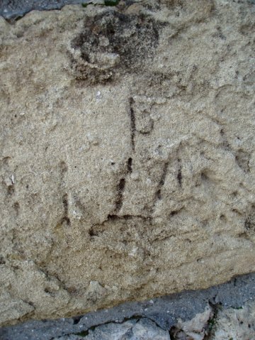 PB080085-1