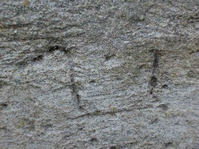 PB080093-1
