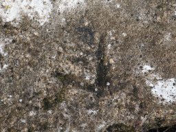 DSC_0187-1