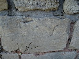 PB080069-1