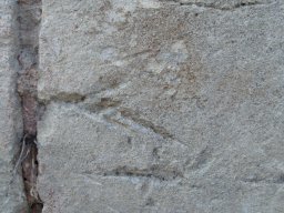 PB080078-1