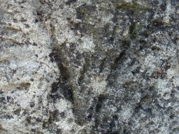 PB080080-1