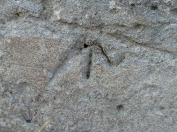 PB080081-1
