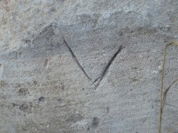 PB080082-1