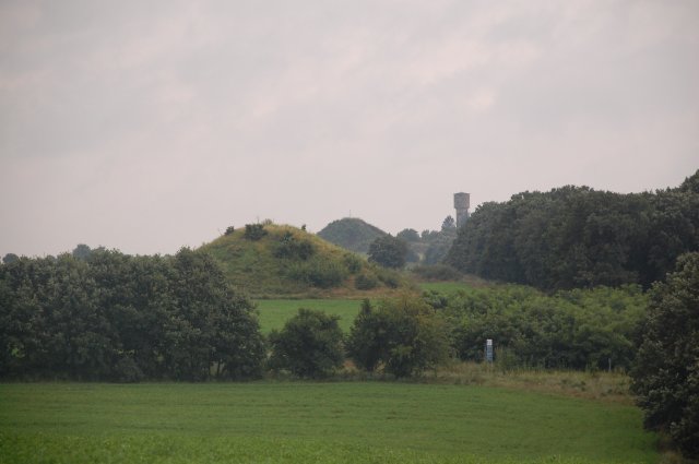 DSC_4579