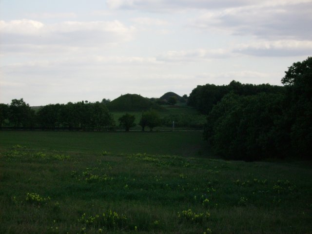 PICT0115