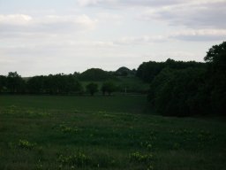 PICT0115