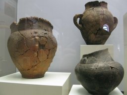 IMG_8463_