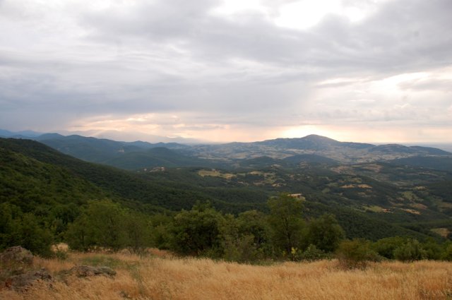 DSC_5350-1