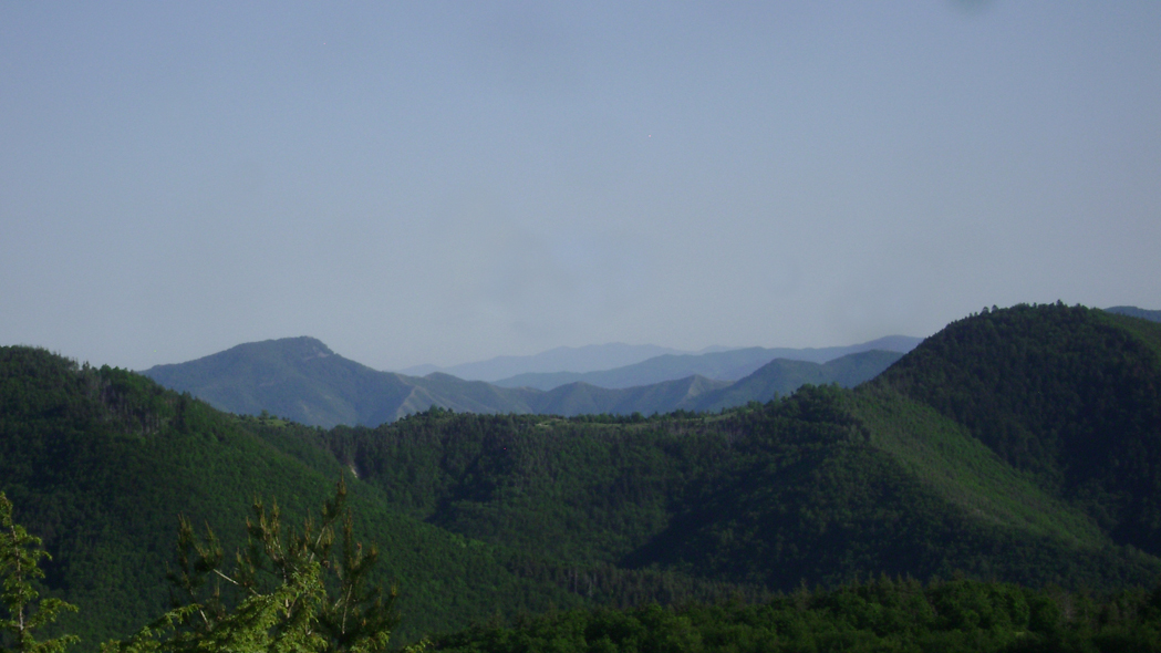 DSC05709-1