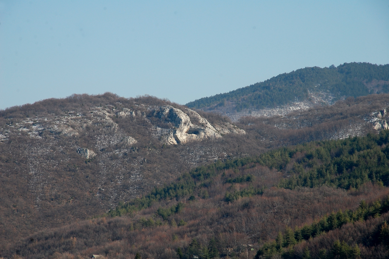 DSC_2498-1