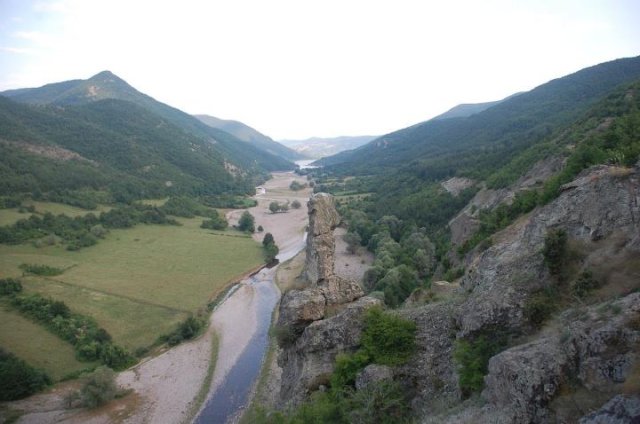 borovica8